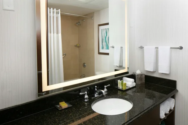 غرفة ديلوكس بسرير كينج مع أريكة، Hilton Minneapolis Bloomington 5/5