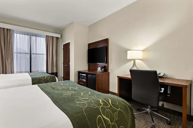 جناح بسريرين كوين مع أريكة، Comfort Suites Nashville 2/3