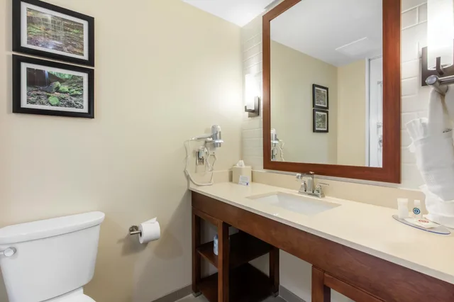 غرفة قياسية بسرير كينج، Comfort Inn & Suites At Crossplex Village 7/9
