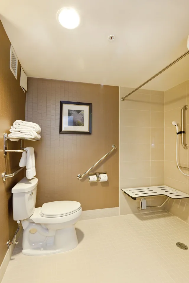 غرفة بسرير كينج لذوي الإعاقة، Hilton Garden Inn Brampton 7/7