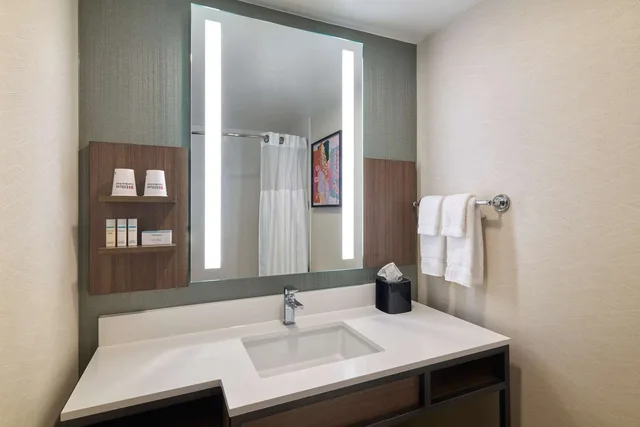 Premium, King Bed, Hilton Garden Inn Bloomington, IN 2/3