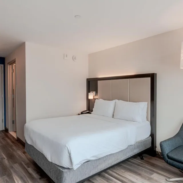 Standard, Queen Bed, Skyline View, Pet Friendly, Holiday Inn Express Long Island City E New York, an IHG Hotel 1/1