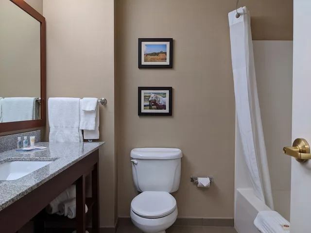 Studio, Suite, 2 Queen Beds, Sofa, Comfort Inn & Suites Northern Kentucky 2/2