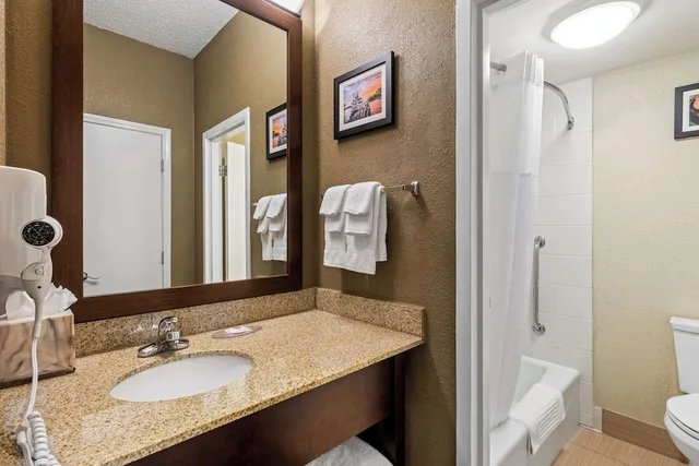 غرفة بسرير كينج لذوي الإعاقة، Comfort Inn Roswell-Dunwoody 8/9