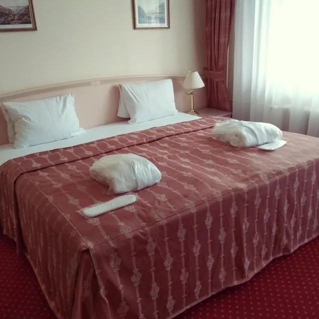 غرفة ديلوكس مفردة، Interhotel Central 1/2