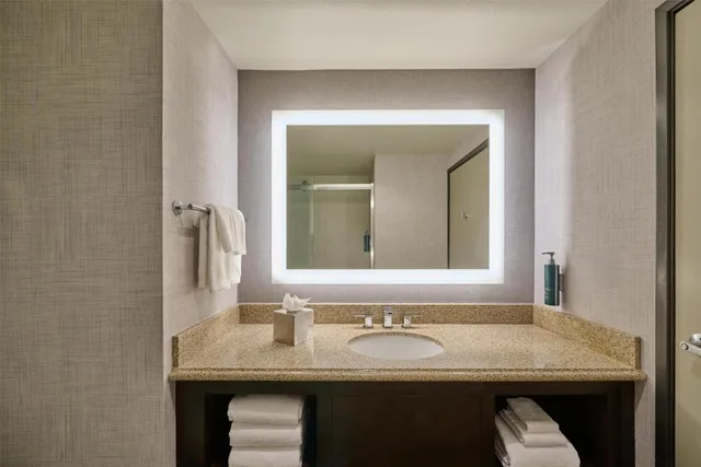جناح جونيور بسرير كينج مع أريكة، DoubleTree by Hilton Flagstaff 4/6