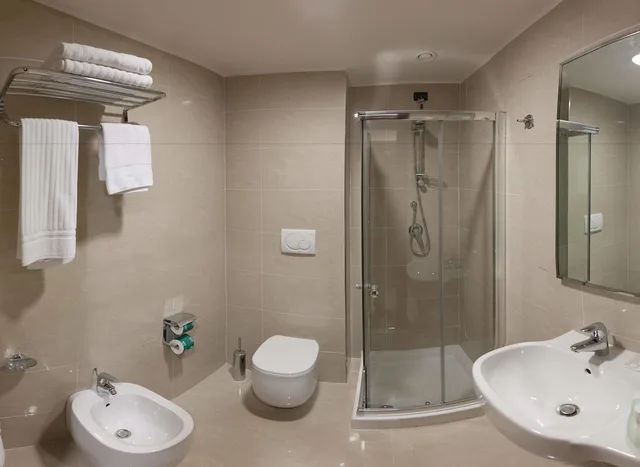 غرفة كلاسيكية بإطلالة على المدينة مفردة بسرير مزدوج، Bv President Hotel 3/3