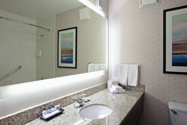 غرفة قياسية بسرير كينج، Crowne Plaza Silicon Valley N - Union City 4/4