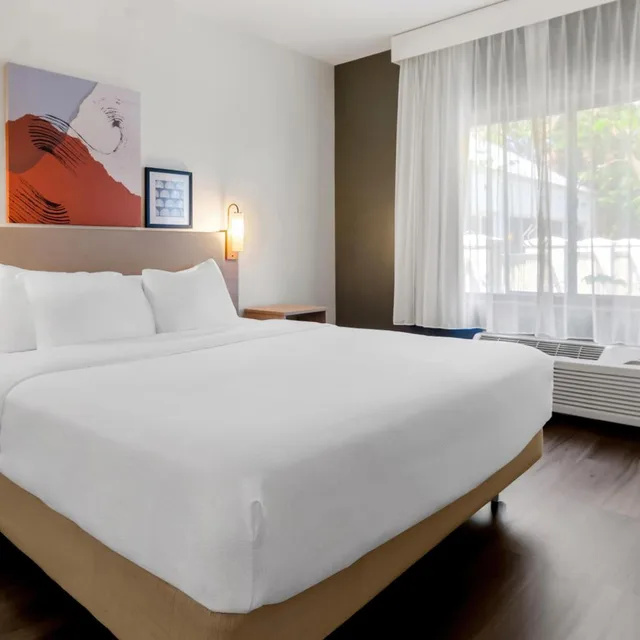 غرفة بسرير كينج مع أريكة بحوض استحمام لذوي الإعاقة، Spark by Hilton Salem East Electric Road 1/4