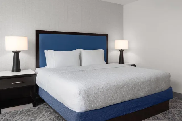 غرفة بسرير كينج بحوض جاكوزي لذوي الإعاقة، Hampton Inn Augusta Fort Eisenhower 4/6