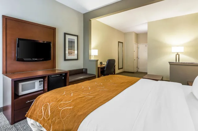 Suite, King Bed, Sofa, Comfort Suites At The University 6/10