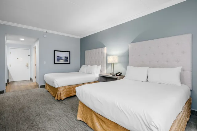 استوديو بسريرين كوين، Cherry Tree Inn & Suites 2/8