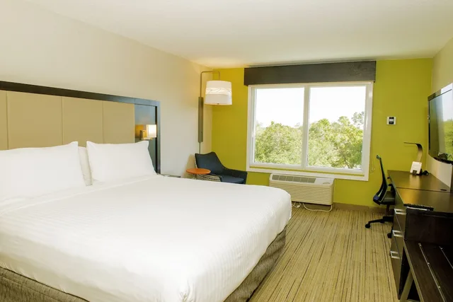 Standard, King Bed, Holiday Inn Express and Suites St. Petersburg North (I-275), an IHG Hotel 1/8