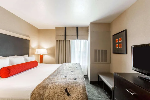 جناح بسرير كينج لذوي الإعاقة، Cambria Hotel Rapid City near Mount Rushmore 2/7