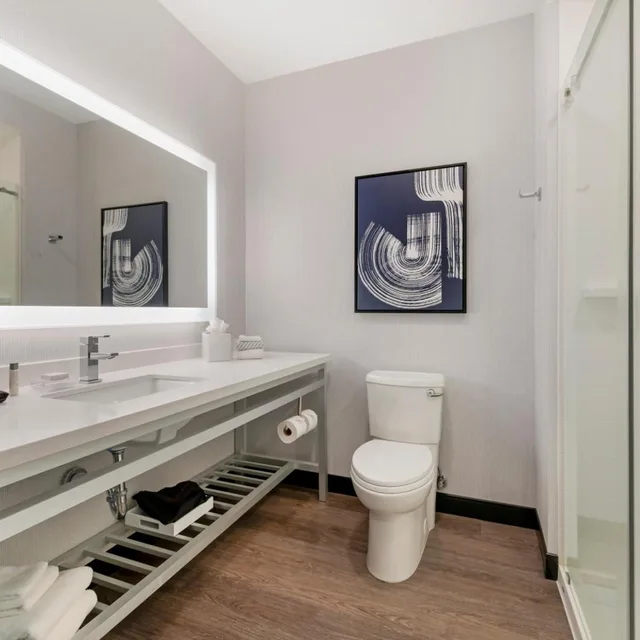 غرفة رباعية بسريرين كوين، Cambria Hotel Detroit Downtown 5/6
