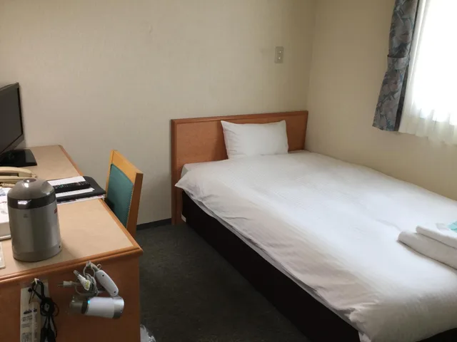 غرفة مفردة، Hotel Green Palace 2/8