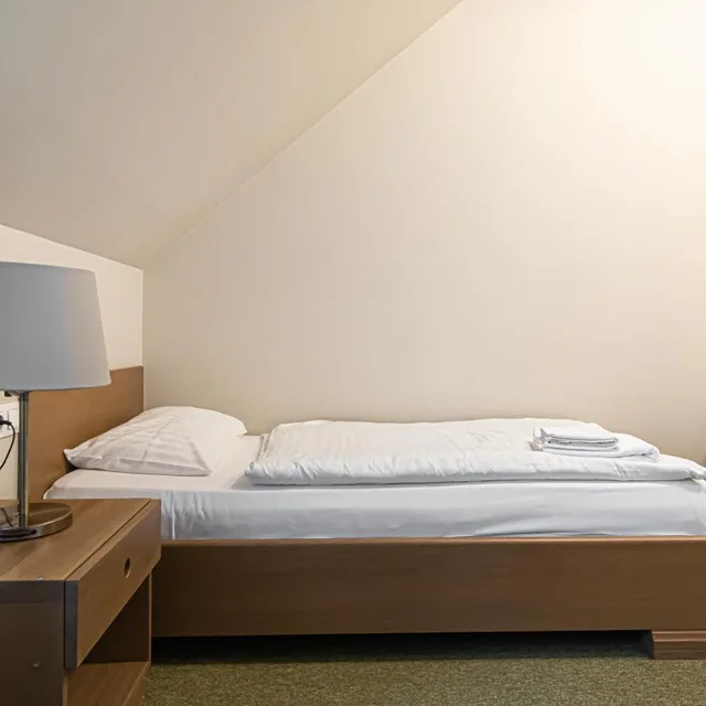 غرفة مفردة، Hotel Domus Maria 6/18