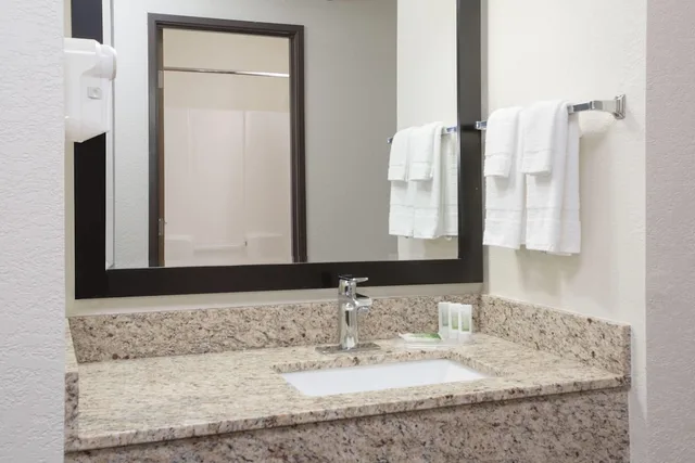 Superior, Studio, Suite, King Bed, Pool View, AmericInn by Wyndham Mount Pleasant 4/6