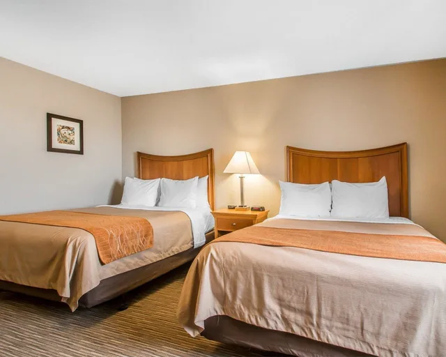 جناح بسريرين كوين مع أريكة لذوي الإعاقة، Comfort Inn South - Springfield 1/5