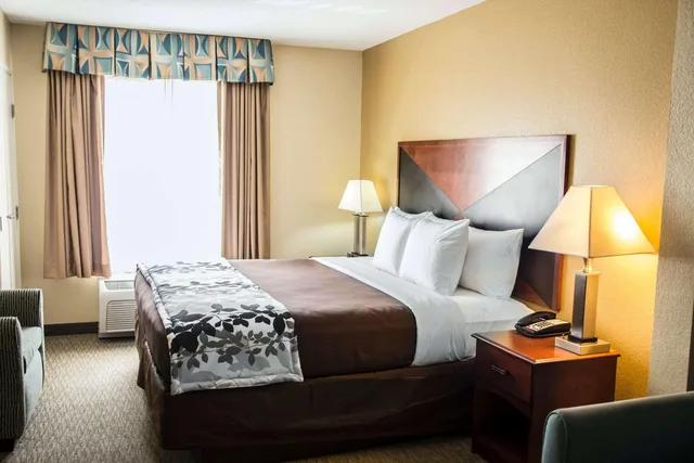 جناح بسرير كينج لذوي الإعاقة، Sleep Inn & Suites Brunswick North, GA 3/4
