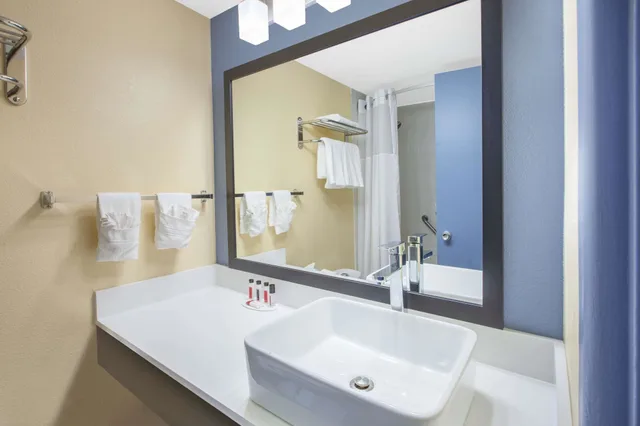 Room, King Bed, Days Inn and Suites by Wyndham Grand Rapids Near Downtown 1/1