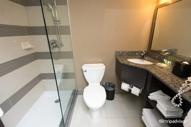 غرفة قياسية بسرير فردي، HOLIDAY INN TORONTO DOWNTOWN CENTRE 10/10