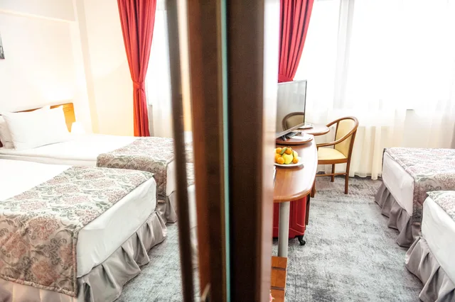 غرفة قياسية بسرير مزدوج، Hotel Parc Sibiu 4/4