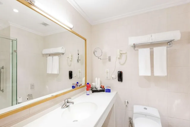 جناح جونيور بسرير كينج، Ramada By Wyndham Addis Ababa 1/1