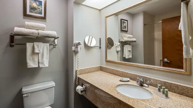 غرفة قياسية بسرير كينج، Best Western Executive Inn Corsicana 7/8
