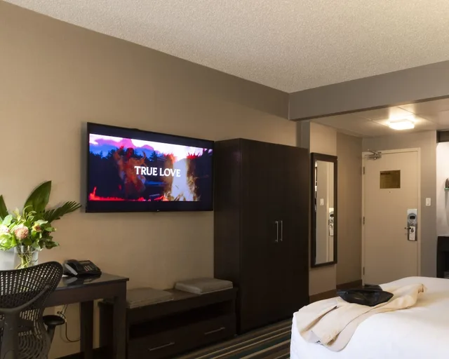 Signature, King Bed, Hotel Blackfoot 4/6