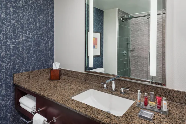 Deluxe, King Bed, City View, Lancaster Marriott at Penn Square 5/10