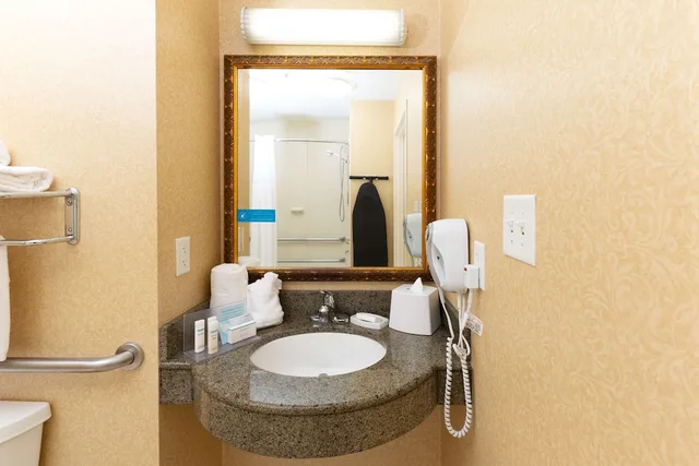 Room, King Bed, Bathtub, Accessible, Hampton Inn Lawrenceville Duluth 4/7