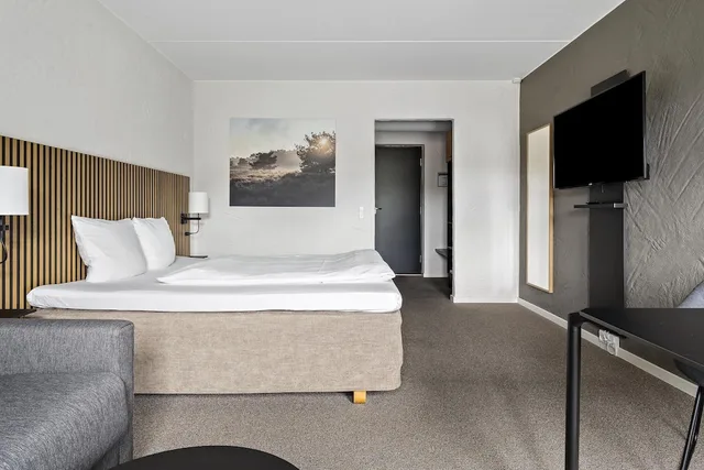 غرفة سوبيريور بسرير كينج مع أريكة، Hotel Dalgas, BW Signature Collection 4/10