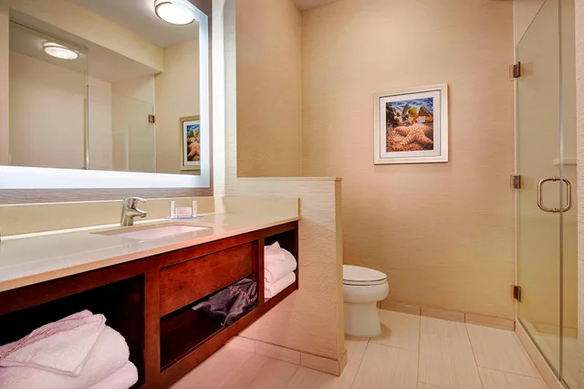 غرفة بسرير كينج، Fairfield Inn & Suites San Diego Carlsbad 4/5