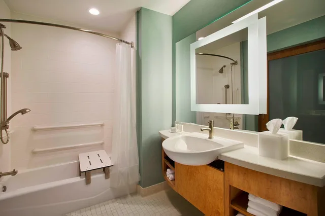 Studio, Multiple Beds، Springhill Suites Houston Downtown/Convention Center 3/3