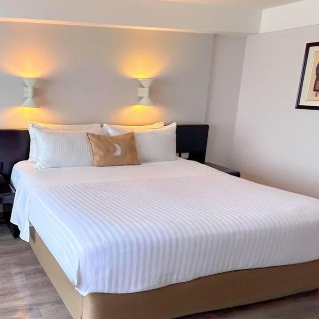 غرفة سوبيريور بسرير كينج، Grand Cantalagua Hotel Morelia, BW Signature Collection 1/10