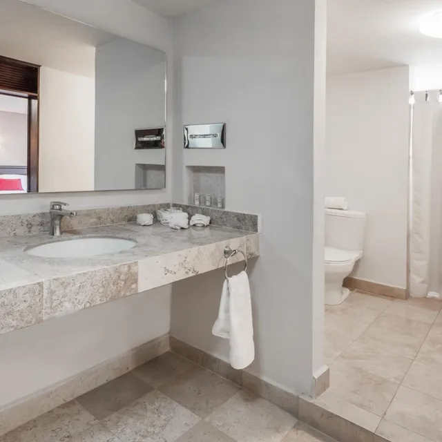 جناح ديلوكس، Ramada Plaza by Wyndham Leon 10/10