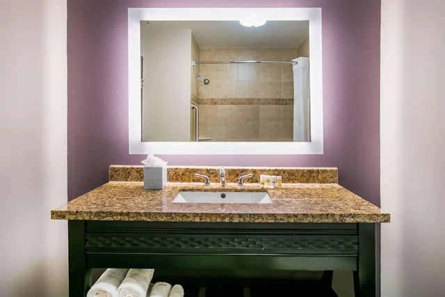 Room, King Bed, Airport View, Accessible، La Quinta Inn and Suites by Wyndham DFW Airport West - Euless 7/7