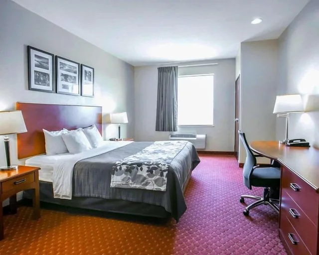 جناح بسرير كينج مع أريكة لذوي الإعاقة، Sleep Inn & Suites New Braunfels TX 2/3