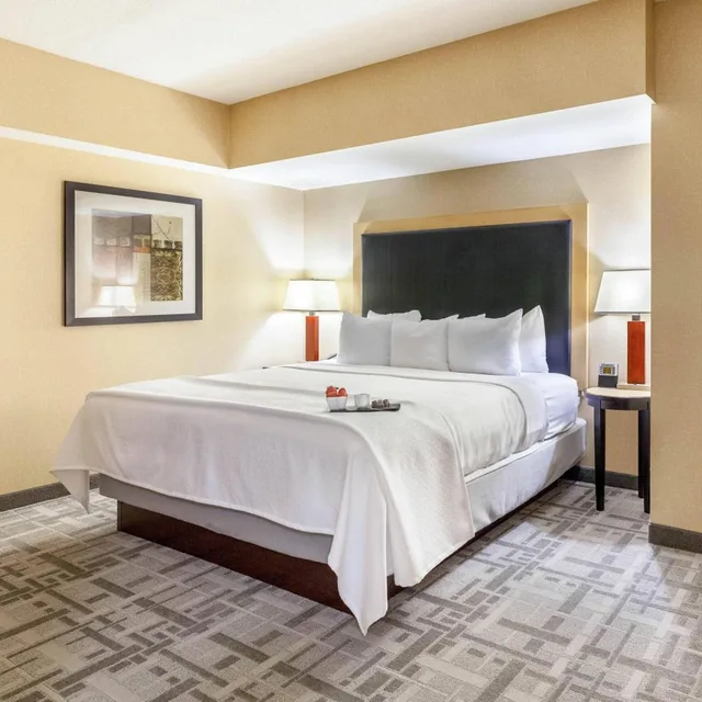 جناح بسرير كينج بغرفة نوم واحدة، Cambria Hotel Pittsburgh - Downtown 1/5