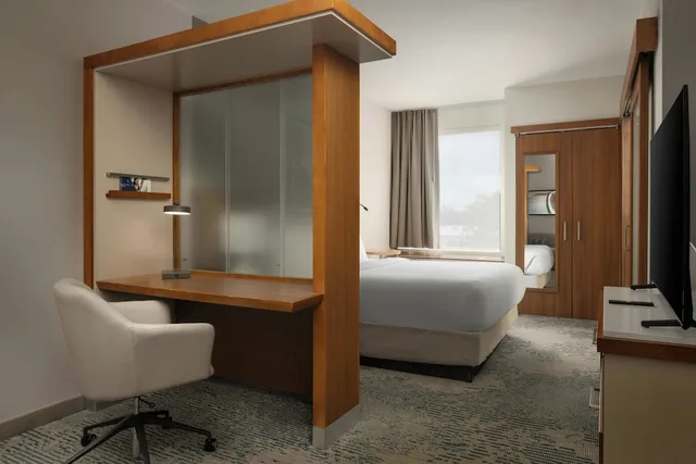 جناح بسرير كينج مع سرير سحّاب إضافي لذوي الإعاقة، Springhill Suites By Marriott Voorhees Mt Laurel Cherry Hil 2/2