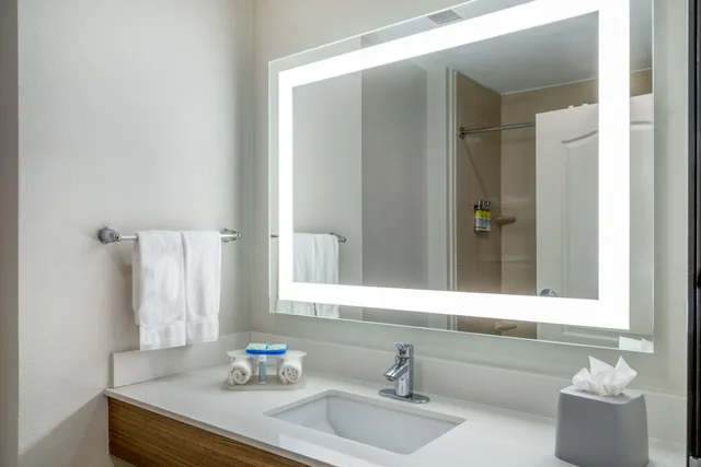 غرفة بسرير كينج، Holiday Inn Express & Suites Dallas East - Fair Park 3/4