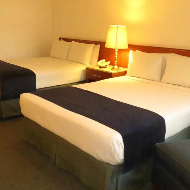 غرفة سوبيريور بسريرين منفصلين، Bristol Hotel 2/10
