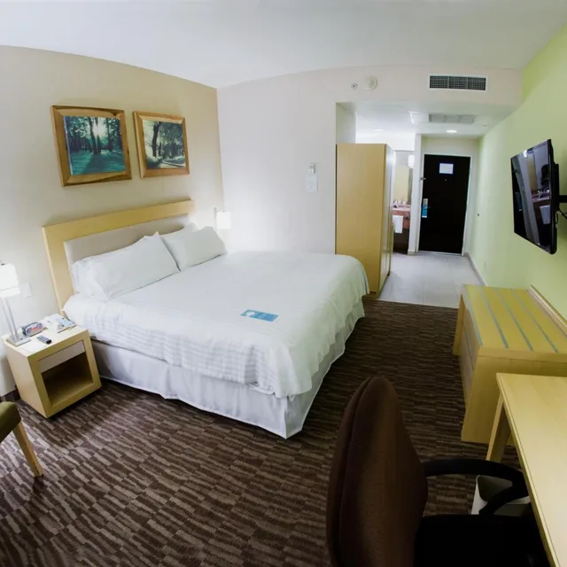 غرفة بسرير كينج لذوي الإعاقة، Excellence Express & Suites San Juan Del Rio 1/8