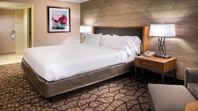 غرفة قياسية بسرير كينج لذوي الإعاقة، Holiday Inn Hotel Suites Warren 3/4