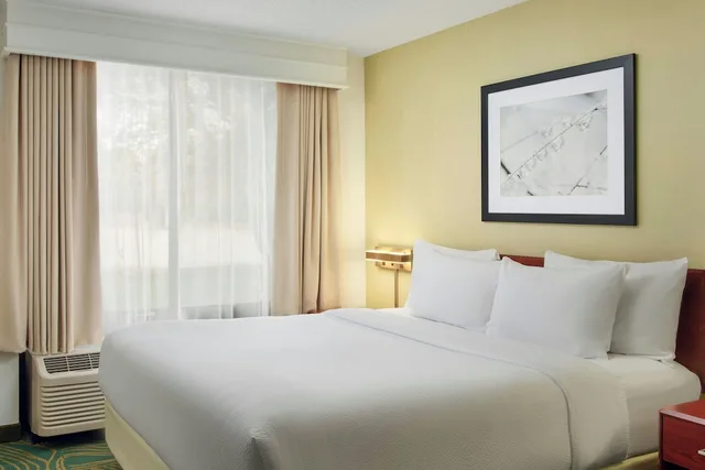 جناح بسرير كينج مع أريكة، SPRINGHILL SUITES BY MARRIOTT CHICAGO ELMHURST/OAKBROOK AREA 1/6