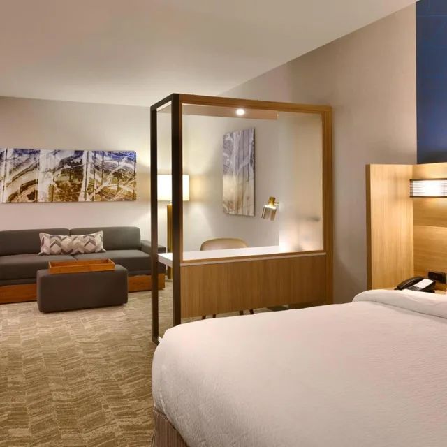 استوديو كبير بسرير كينج مع سرير سحّاب إضافي مع أريكة لذوي الإعاقة، Springhill Suites By Marriott Coralville 2/5