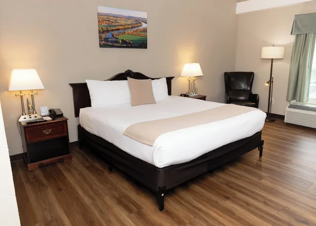 غرفة قياسية بسرير كينج بغرفة نوم واحدة، D. Hotel and Suites 6/9