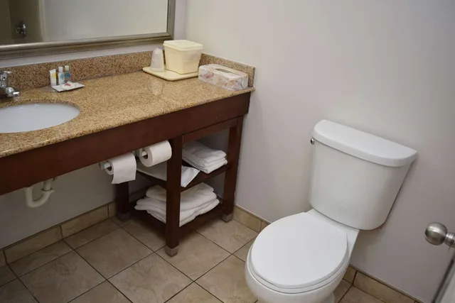 Room, King Bed, Comfort Inn & Suites Syracuse-Carrier Circle 6/8