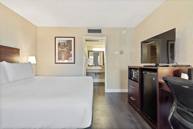 غرفة قياسية بسرير كينج، Vagabond Inn Executive San Francisco Airport 6/7